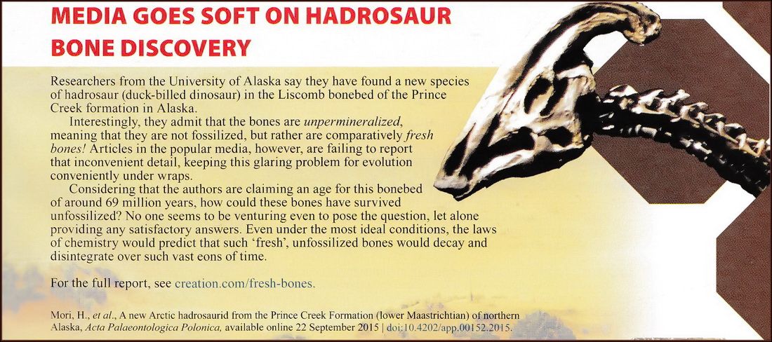 unfossilized dinosaur bones